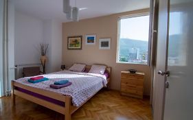 Green Paradise Square Apartment